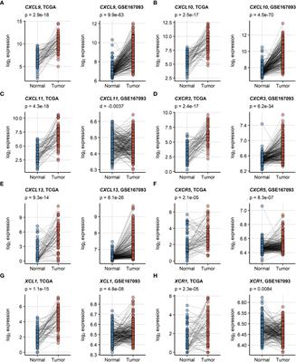 A chemokine network of T cell exhaustion and metabolic reprogramming in renal cell carcinoma